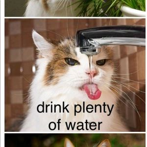 Meet your Posher, Jessie